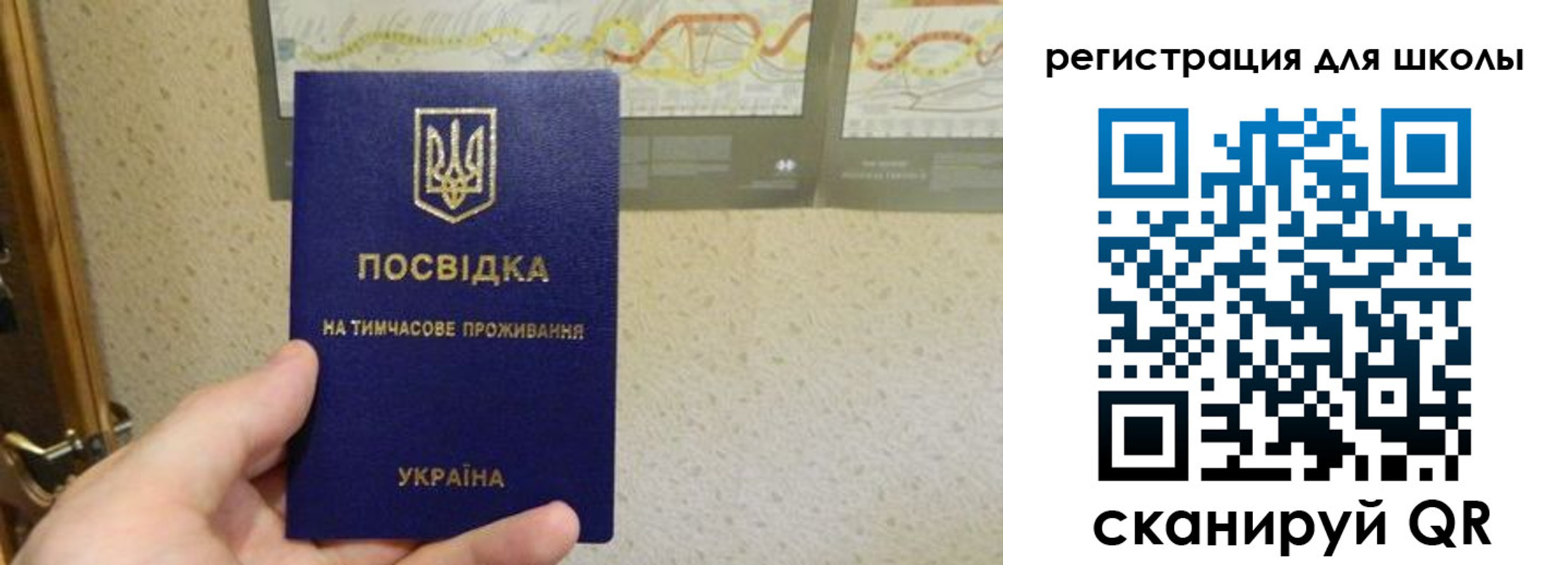 временная прописка в Палласовке